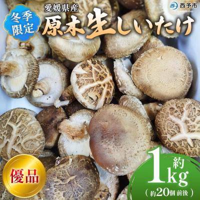 ふるさと納税 西予市 <冬季限定 原木生しいたけ 優品 約1kg> 20個前後 原木生椎茸 横林自治振興協議会