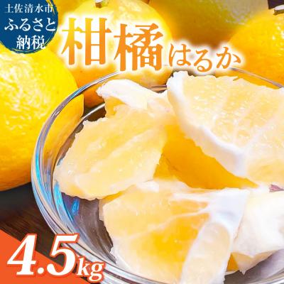 ふるさと納税 土佐清水市 [令和8年12月]はるか 4.5キロ 栽培期間中農薬不使用 みかん 柑橘類[R01586]
