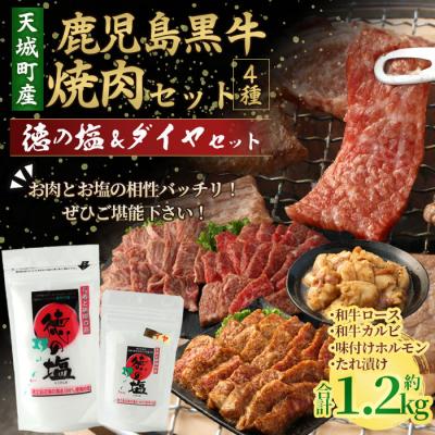 ふるさと納税 天城町 鹿児島黒牛 焼肉セット 4種盛り 計約1.2kg 徳の塩・ダイヤセット 計約230g 総計約1.43