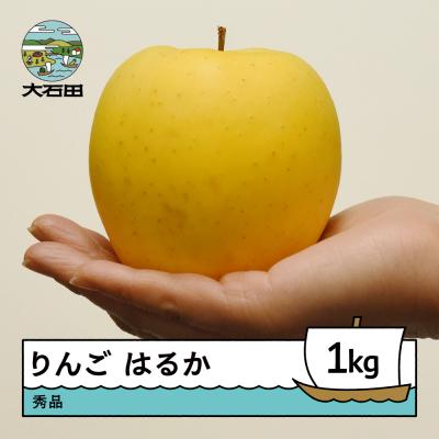 ふるさと納税 大石田町 【先行予約】 りんご はるか 秀品 約1kg 2026