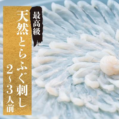 ふるさと納税 下関市 [期間限定] とらふぐ 刺身 天然 冷蔵 2~3人前
