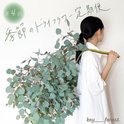 ふるさと納税 下関市 [定期便4回] 季節の草木花のスワッグ リース