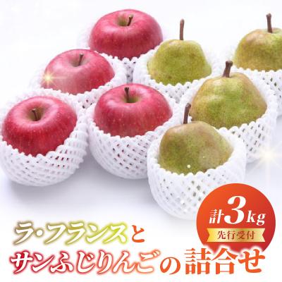 ふるさと納税 大江町 [先行受付]ラフランスとサンふじりんご詰合せ3kg[2026年11月頃より発送予定] 060-018