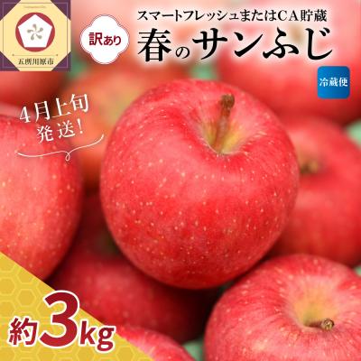 ふるさと納税 五所川原市 [2026年4月上旬発送][訳あり]春のサンふじ りんご 約3kg スマフレ貯蔵またはCA貯蔵