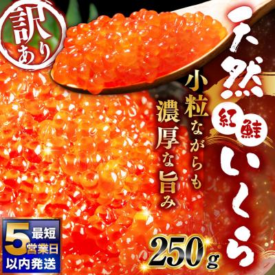 ふるさと納税 釧路市 [決済より5営業日程度で発送]紅鮭いくら醤油漬け 250g 冷凍