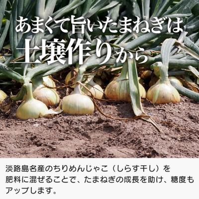 ふるさと納税 淡路市 道の駅あわじ厳選新玉ねぎ5kg【発送時期2026年5月頃】 aa01014の画像