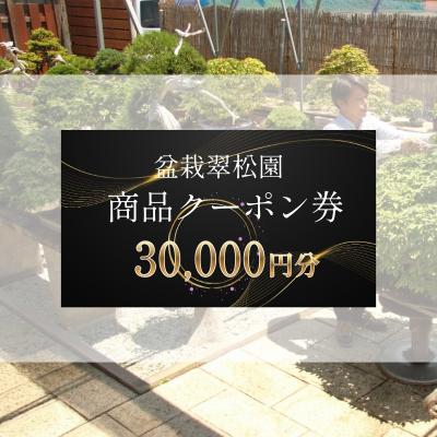 ふるさと納税 加西市 盆栽 翠松園 商品クーポン券 30,000円分[No5698-2663]