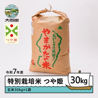 ふるさと納税 大石田町 [5月下旬発送]米 令和7年産 つや姫 30kg 山形県大石田町産 特別栽培米 玄米