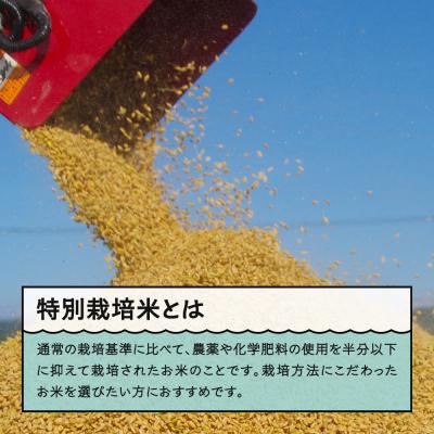 ふるさと納税 大石田町 【6月下旬発送】米 令和7年産 つや姫 30kg 山形県大石田町産 特別栽培米 玄米の画像