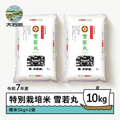 ふるさと納税 大石田町 [3月下旬発送] 米 令和7年産 雪若丸 10kg 山形県大石田町産 特別栽培米 精米