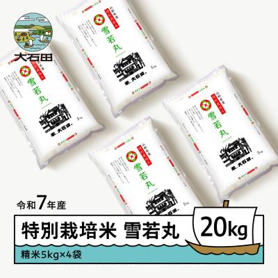 ふるさと納税 大石田町 [2月下旬発送]新米 米 令和7年産 雪若丸 20kg 山形県大石田町産 特別栽培米 精米