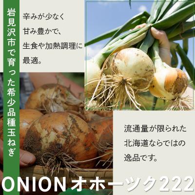 ふるさと納税 岩見沢市 【先行予約】畑から直送の新鮮野菜!玉ねぎ(オホーツク222) 10kg [a168-005]の画像