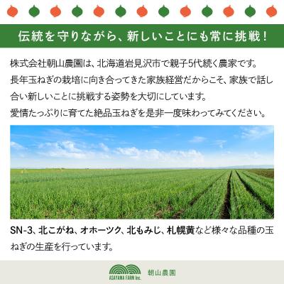 ふるさと納税 岩見沢市 【先行予約】畑から直送の新鮮野菜!玉ねぎ(オホーツク222) 10kg [a168-005]の画像