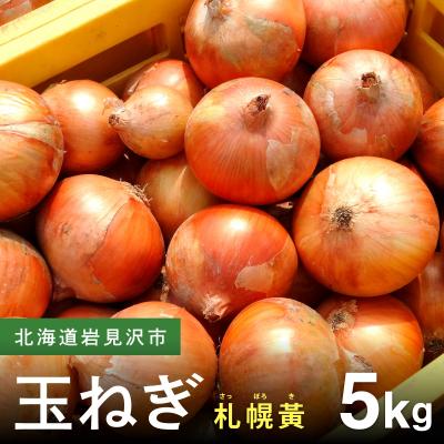 ふるさと納税 岩見沢市 [先行予約]幻の玉ねぎ!札幌黄(さっぽろき)5kg [a168-010]