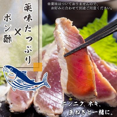ふるさと納税 香南市 【12回定期便】本場高知の鰹のたたき スライス(100g×5袋) Wnz-0026_3