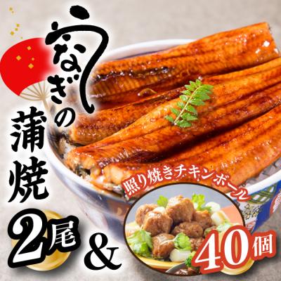 ふるさと納税 新宮町 うなぎの蒲焼2尾&amp;照り焼きチキンボール40個[新宮町Bセット]