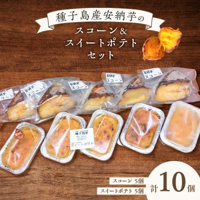 ふるさと納税 鹿児島市 種子島産安納芋スコーン&amp;スイートポテトセット