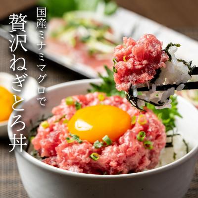 ふるさと納税 焼津市 南鮪入り 焼津 海の極 ネギトロ 小分け 計800g 100g×8パック(a10-1274)