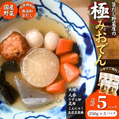 ふるさと納税 東松島市 だし染み おでん 6種入 合計 5袋 ( 250g × 5袋)国産野菜 レトルト