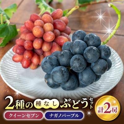 ふるさと納税 東御市 [先行受付2026年発送]2種の種なしぶどうセット(クイーンセブン・ナガノパープル) 合計2房セット