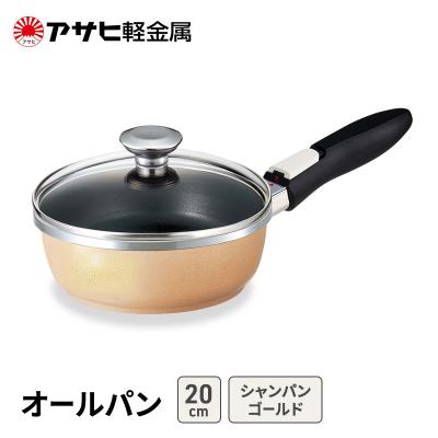 ふるさと納税 加西市 期間限定寄附額 [ オールパン (20) シャンパンゴールド ][No5698-2499]