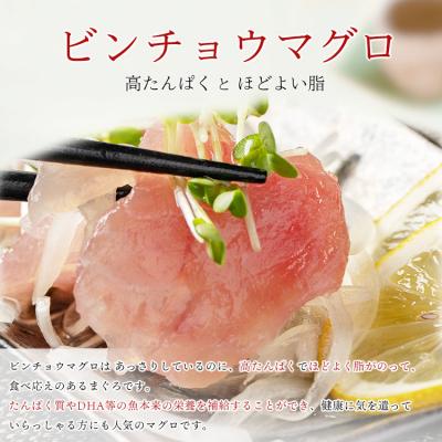 ふるさと納税 焼津市 天然 ビンチョウマグロ ブロック 業務用 焼津 海の極 5kg(a24-063)