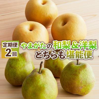 ふるさと納税 山形市 [定期便2回]やまがたの和梨&amp;洋梨どちらも堪能便[令和8年産先行予約]FS25-138