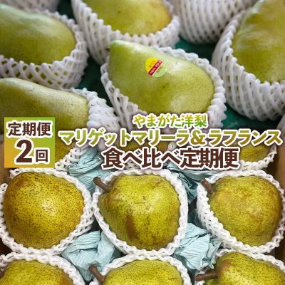 ふるさと納税 山形市 [定期便2回]やまがた洋梨 マリゲットマリーラ&amp;ラフランス食べ比べ定期便 FS25-140