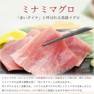ふるさと納税 焼津市 天然 ミナミマグロ 中トロ 小分け 焼津 海の極 計500g 100g×5P(a10-1278)