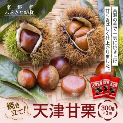 ふるさと納税 京都市 《先行予約 2026年9月下旬〜発送》焼き立て! 天津甘栗300g×3袋|京都 甘栗 人気 | 
