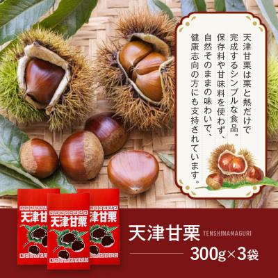 ふるさと納税 京都市 《先行予約 2026年9月下旬〜発送》焼き立て! 天津甘栗300g×3袋|京都 甘栗 人気 |  | 02