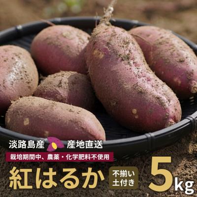 ふるさと納税 淡路市 紅はるか(淡路島産)土付き 約5kg 不揃い[栽培期間中、農薬・化学肥料不使用]