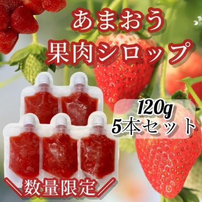 ふるさと納税 新宮町 あまおう果肉シロップ.A1635