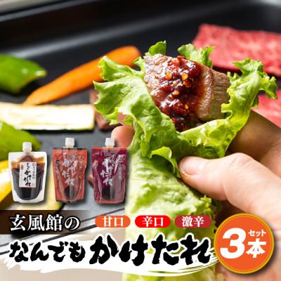 ふるさと納税 新宮町 玄風館のなんでもかけたれ(3種類3本セット).A1634