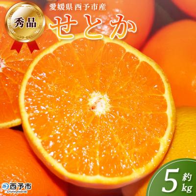 ふるさと納税 西予市 <秀品 せとか 約5kg>蜜柑 ミカン みかん 果物 丸二青果柑橘 柑橘の女王