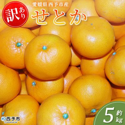 ふるさと納税 西予市 <訳あり せとか 約5kg>蜜柑 ミカン みかん 果物 フルーツ 柑橘 柑橘の女王丸二青果