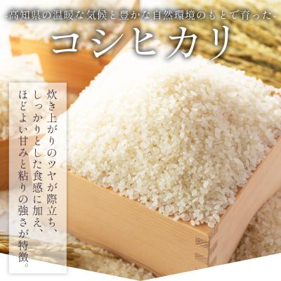 ふるさと納税 香南市 [3回定期便]コシヒカリ 2kg 令和7年産 特別栽培米 高知県香南市産 Wnu-0011