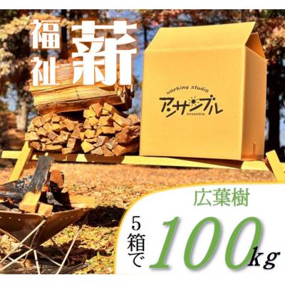 ふるさと納税 伊那市 信州産 広葉樹の薪 約100キロ(20キロ×5箱) 薪長35センチ