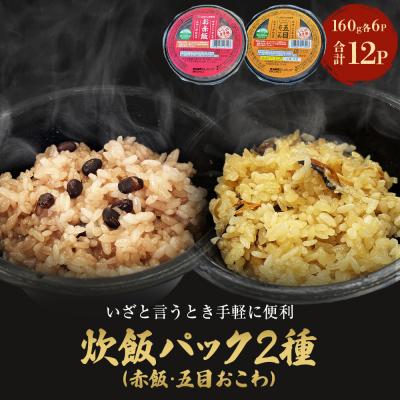 ふるさと納税 石巻市 パックご飯2種セット 160g 12個 赤飯 五目ごはん ご飯パック ササニシキ みやこがね