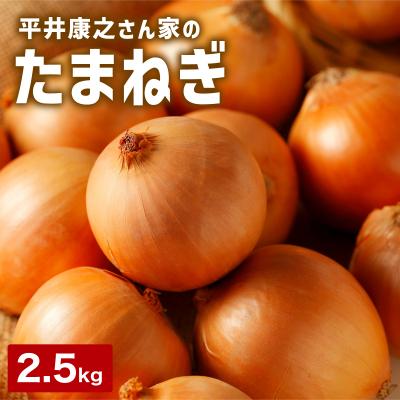 ふるさと納税 岩見沢市 岩見沢産「平井康之さん家のたまねぎ」M玉 2.5kg