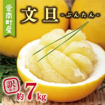 ふるさと納税 愛南町 訳あり 文旦 7kg + 傷み補償 500g ミッチーのおみかん畑 愛南町 愛媛県