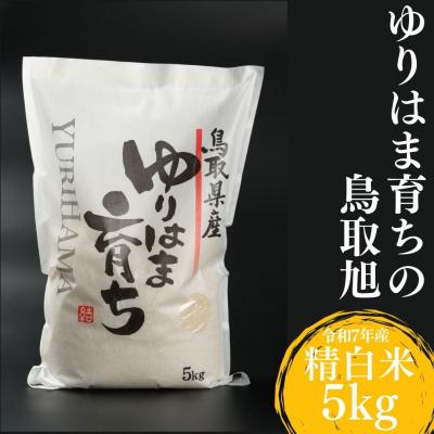ふるさと納税 湯梨浜町 ゆりはま育ちの鳥取旭◇精白米5kg◇令和7年産(231M.)