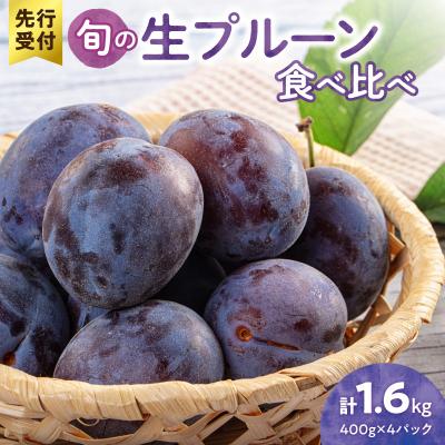 ふるさと納税 余市町 [先行受付]旬の生プルーン 食べ比べ 1.6kg(400g×4パック)