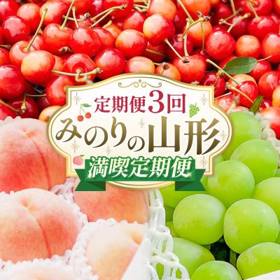 ふるさと納税 山形市 [定期便3回]みのりの山形〜満喫定期便〜 FY23-905