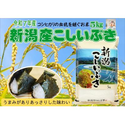 ふるさと納税 阿賀野市 [令和7年産]新潟産こしいぶき 5kg 白米 精米 コシヒカリ系 早生品種 井上米穀店