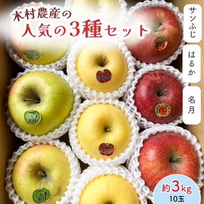 ふるさと納税 つがる市 木村農産の人気の3種セット約3kg 10個入り [0948]