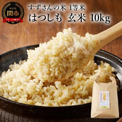 ふるさと納税 関市 玄米10kg 安心・安全なすずさんの米 1等米のはつしも米/大粒 和食 お米 岐阜県関市