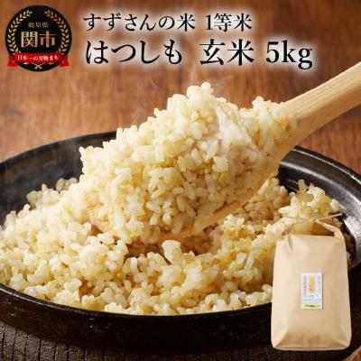 ふるさと納税 関市 玄米5kg 安心・安全なすずさんの米 1等米のはつしも/大粒 和食 お米 岐阜県関市