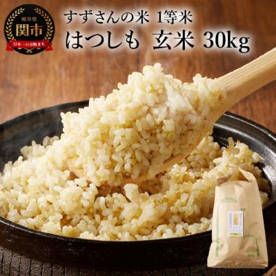 ふるさと納税 関市 玄米30kg(30kgx1袋)安心・安全なすずさんの米 1等米のはつしも/大粒 和食 お米 関市