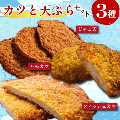 ふるさと納税 小松島市 練り物 カツ 3種セット フィッシュカツ じゃこ天 ハモカツ 冷蔵